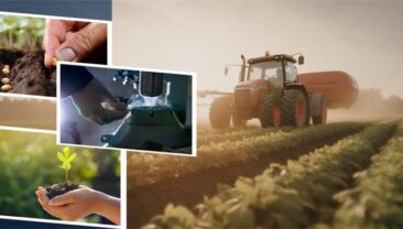 Tarım ve Orman Bakanlığı 149 Milyon TL’lik Destek Ödemesini Çiftçilerin Hesaplarına Aktarıyor