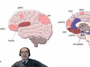 SATSO Başkanı Altuğ: E-Haciz Uygulamasında Değişim ve Psikolojik Etkiler Dikkate Alınmalı